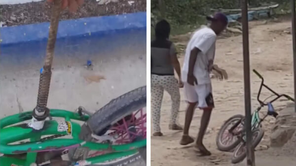 Deze uitvinding maakt van iedere fietsendief zijn sterretje graag een rondje