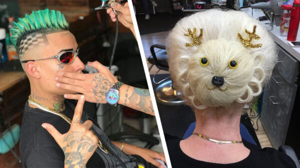 29 nieuwe belachelijke voorbeelden van "doe maar een kapseltje"