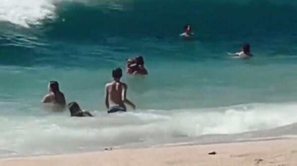 WTF? Golf maakt koter ineens 10 jaar ouder!