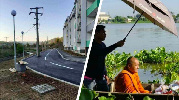 Een nieuwe verzameling van 30 eencelligen die slechts één taak hadden