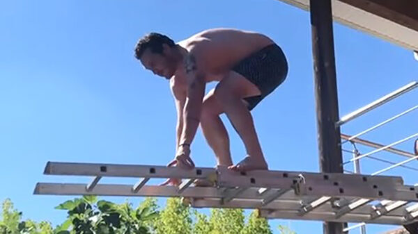 Feit: een ladder is geen geweldig alternatief voor een duikplank