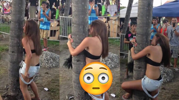 Dronken festivalchick neemt boomknuffelen uiterst serieus