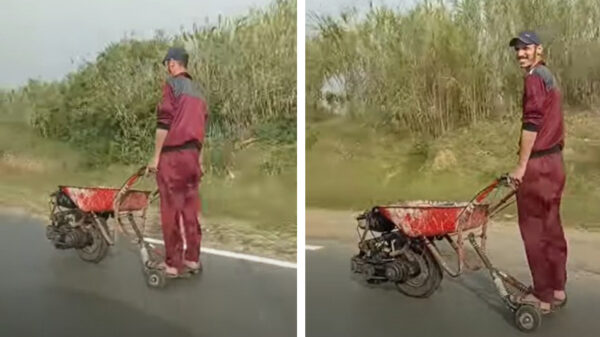 Mooi mien jong! Gemotoriseerde kruiwagen is een prima vervoermiddel