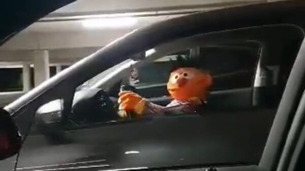 Daar zijn ze, de echte gangsters