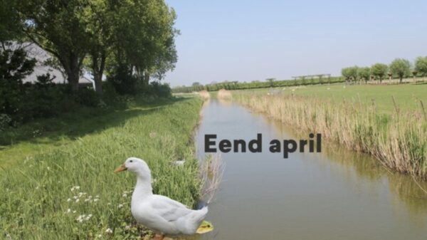 Wat kinderachtig, gvd (23)