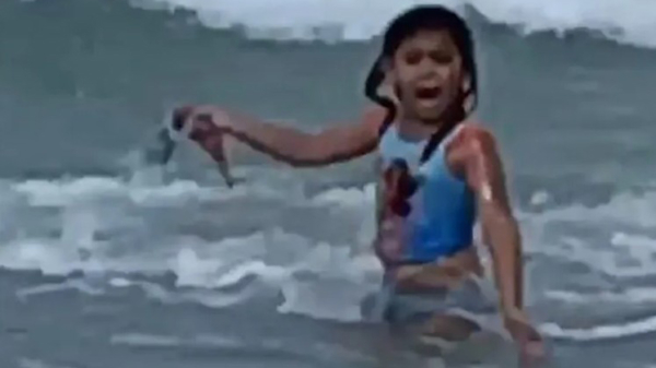 Ha(a)iwaï: 6-jarig meisje heeft een close call met een haai op Kalama Beach