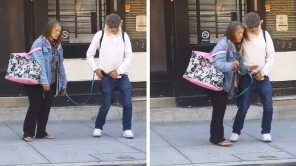 Tortelduifjes onder invloed hebben handige lifehack om elkaar niet kwijt te raken