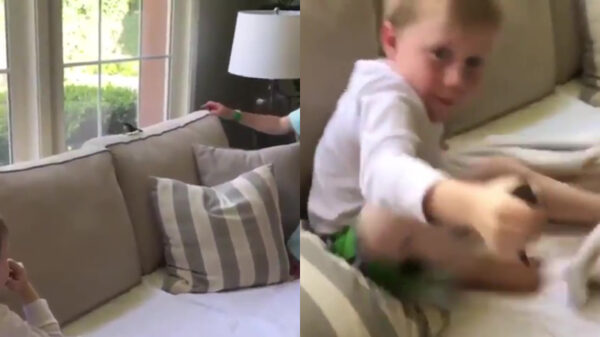 Koter laat zijn ouders zien hoe je een vogeltje vangt