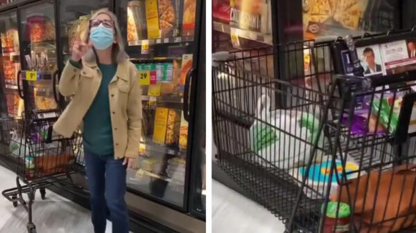 Vega-gekkie betrapt met kalkoen in d'r winkelwagentje