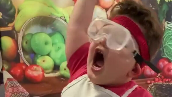 Kung-Fu-koter mag zich in de keuken helemaal uitleven