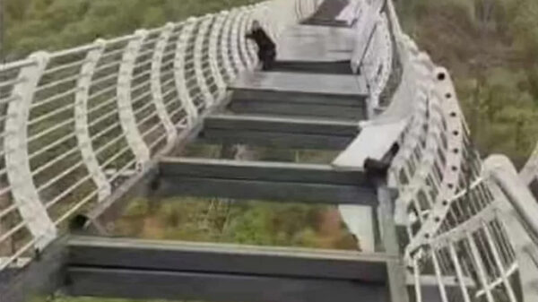 Bizar hoge wandelbrug in China stort deels in, toerist ontsnapt aan de dood