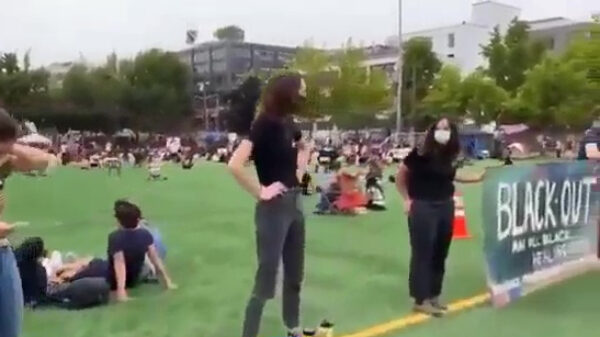 Welkom in het Amerika van 2021: sneeuwvlokjes maken park "alleen voor zwarte mensen"