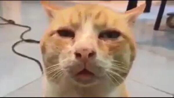 Hey kids, don't smoke weed