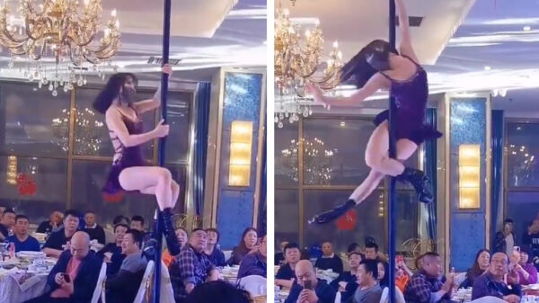 Doe eens gek, nodig een paaldanseres uit op je bruiloft