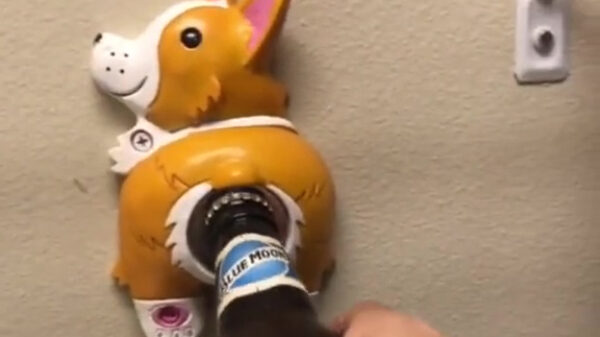 GA WEG MET DIE FLES GEK