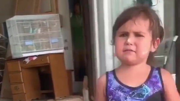 Verdomme, wie heeft mijn muffin opgegeten?!