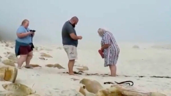 De kunst om het emotionele huwelijksaanzoek perfect vast te leggen