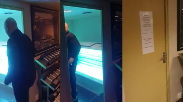 Dit is gegarandeerd de allerbeste zonnebank die je ooit gezien hebt