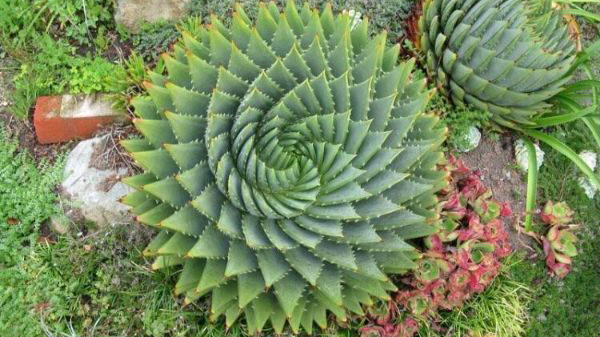 Perfectie kan soms zo gruwelijk lekker zijn