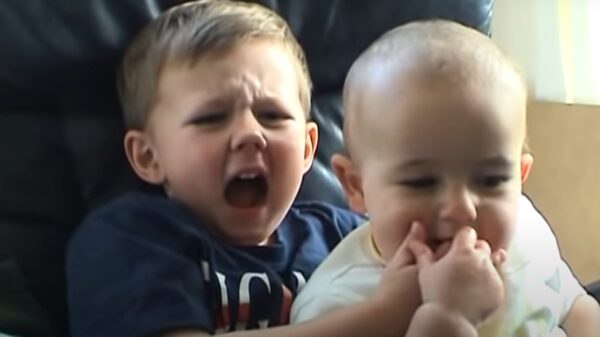 Bekende "Charlie bit my finger"-video verdwijnt van YouTube, verkocht als NFT