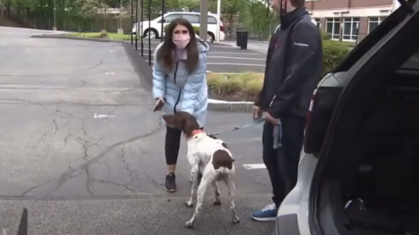 Verslaggeefster lost live op tv een heuse dognapping op