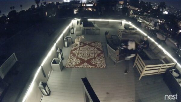 Brutus verstoort weer eens een romantische date