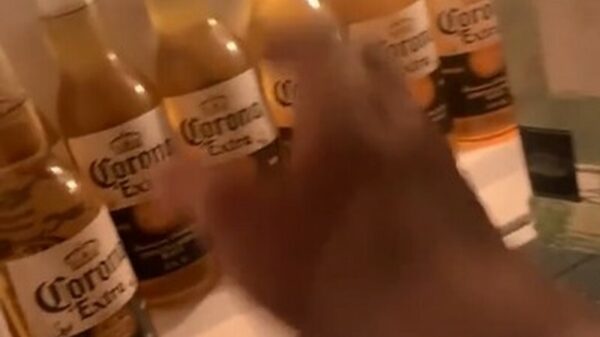 Wetenschappers doen een bierexperiment