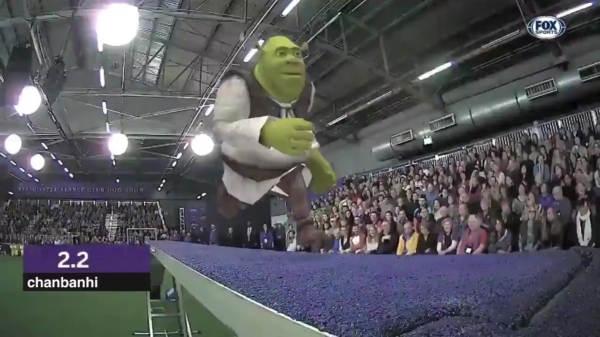 Shrek sloopt competitie tijdens agility-wedstrijd