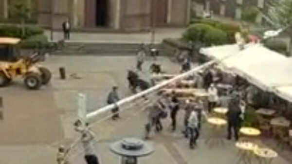 Meiboom opzetten zorgt direct voor het einde van het feestje