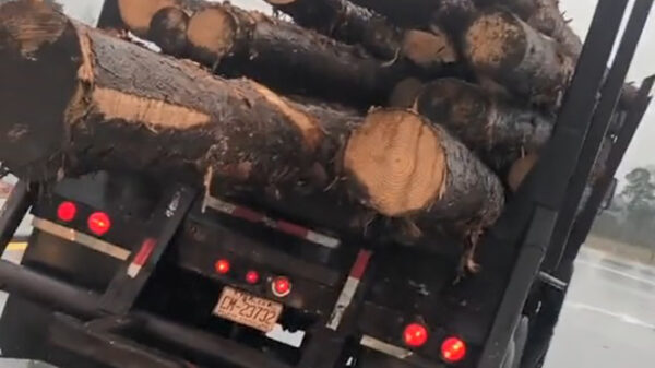 Automobilist is blij dat hij leeft na dit zieke Final Destination-ongeluk