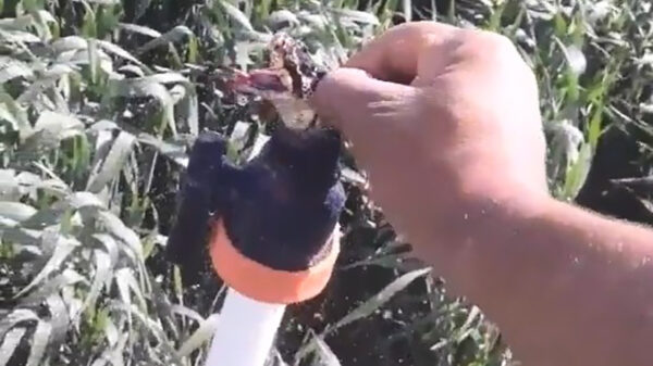 Hoe komt het toch dat de watersproeier niet lekker doorloopt?