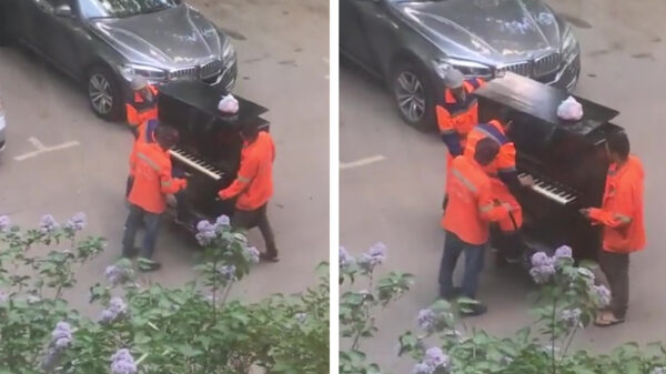 Plezier in je werk: deze verhuizers hebben het