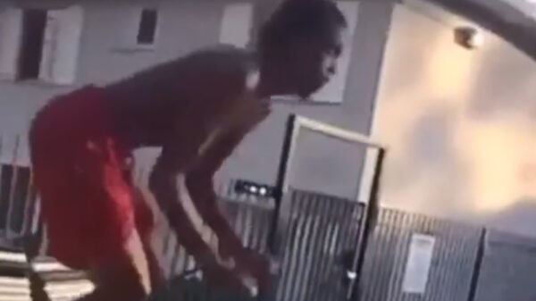 Kneusje doet een duikje bij het zwembad