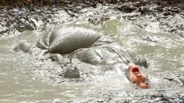 Mensen met een modderfetisj worden op hun wenken bediend