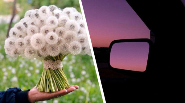 16 perfecte foto's om je leven weer wat aangenamer te maken