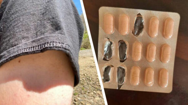 50 foto's waar je bloed spontaan van gaat koken