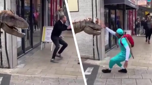 Web classic: Plotseling... Een dino