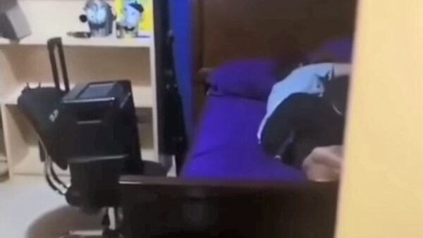 Je huisgenoot met een microfoon en een speaker trollen is VERDOMD grappig!