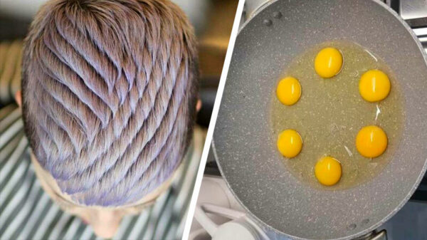 Je weekend is niet compleet zonder een lading fijne OCD-pics