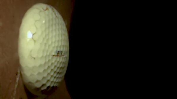 Nerdpr0n: met 100.000 FPS testen hoe hard je een golfbal kunt meppen