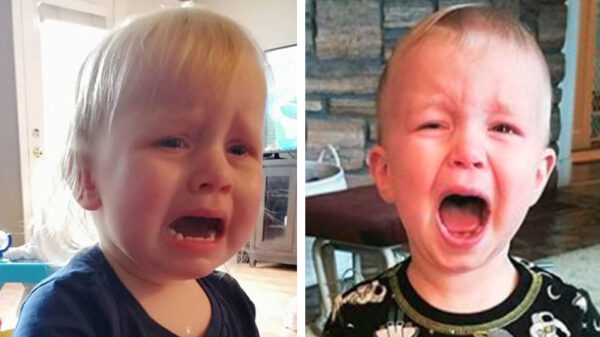 40 redenen om nog héél even met koters te wachten