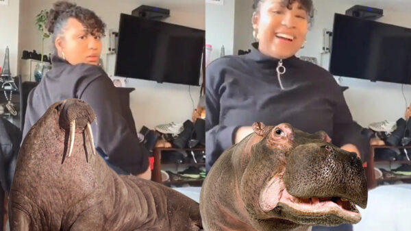 Even een vraag aan de kijkers thuis: lijkt mijn kont dik in deze broek?