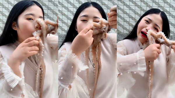 Octopus is klaar met gemiep van Chinees grietje en snoert haar de mond