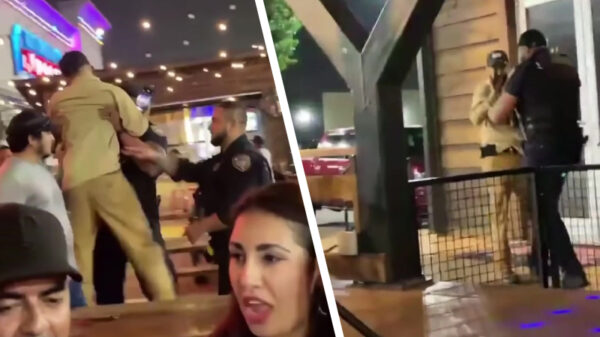 Enorme politieagent zet herrieschoppertje buiten like a bawz