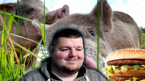 De muzikale monsterhit van de week: ZangerLorenzo - Dan had je al spijt misschien