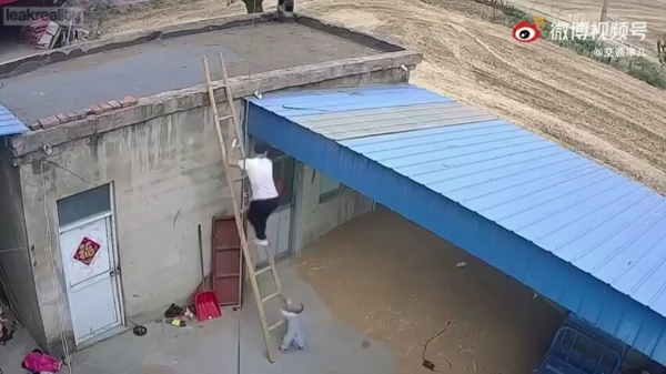2-jarige Chinese peuter wil papa helpen met klussen en klimt ladder op