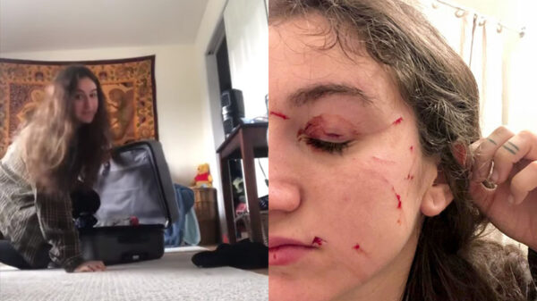 Kat verandert in Wolverine nadat hij schrikt van achterlijke gedrag van kattenvrouwtje