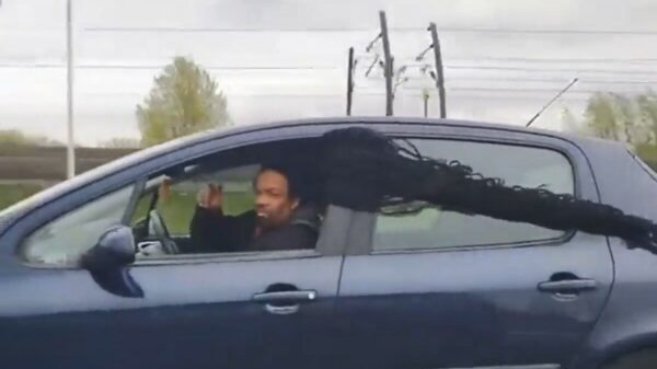 Rasta heeft een slimme manier gevonden om zijn dreadlocks te drogen