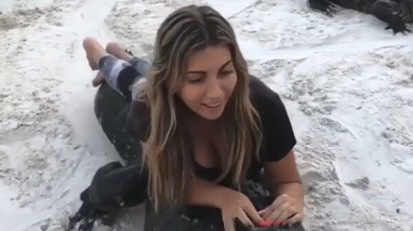 Paardenmeisje heeft nieuw rijtuig gevonden