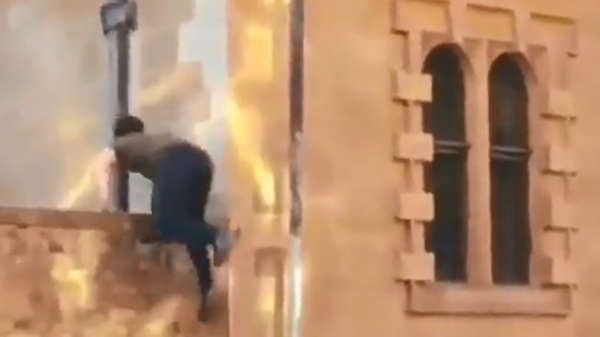 Parkourpro klimt op zijn dooie gemakje tegen een gebouw op